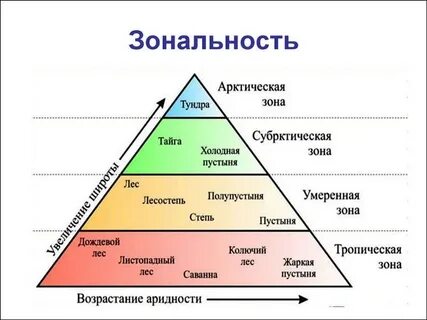 Зональность процессов в географической оболочке