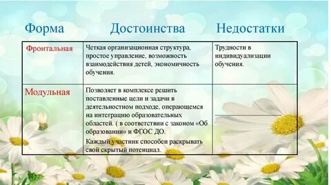 Индивидуальная форма достоинства и недостатки
