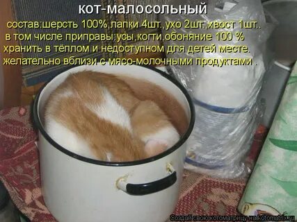 Хозяин решил