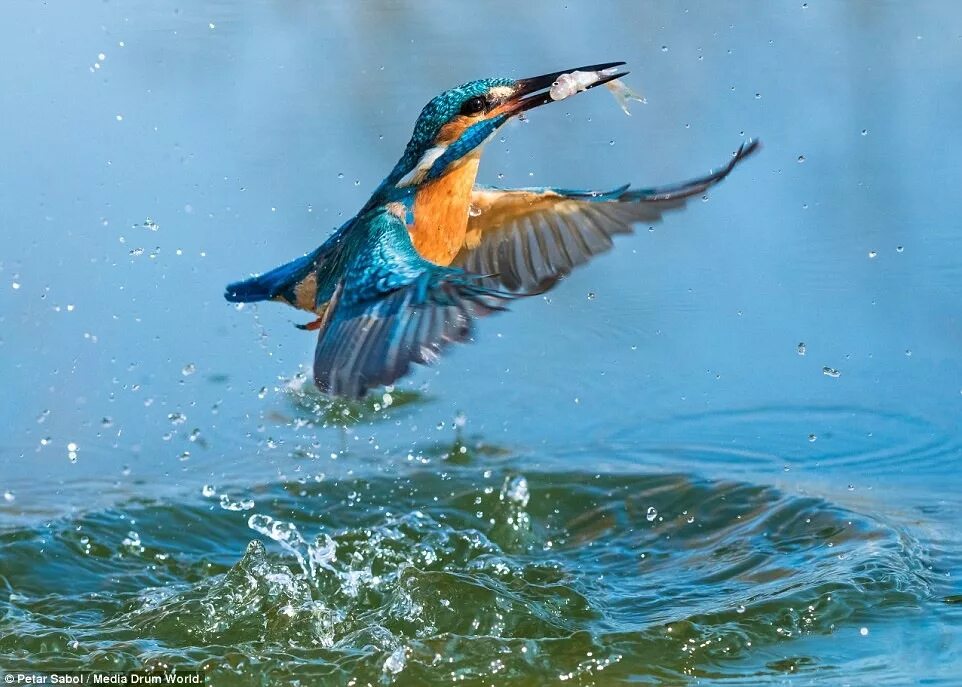 Yalı çapkını 60 bölüm