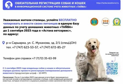 Регистрация кошки