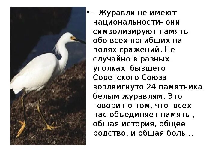 Журавль символ чего в россии. Журавли символ памяти. Что символизирует журавль. Белый журавль символ памяти. Белый журавль символ Победы.