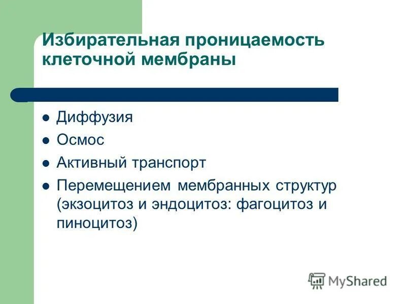 Осуществляет избирательную проницаемость. Избирательная проницаемость мембраны. избирательная проницаемость клеточной мембраны. проницаемость клеточных мембран. избирательная проницаемость цитоплазматической мембраны.
