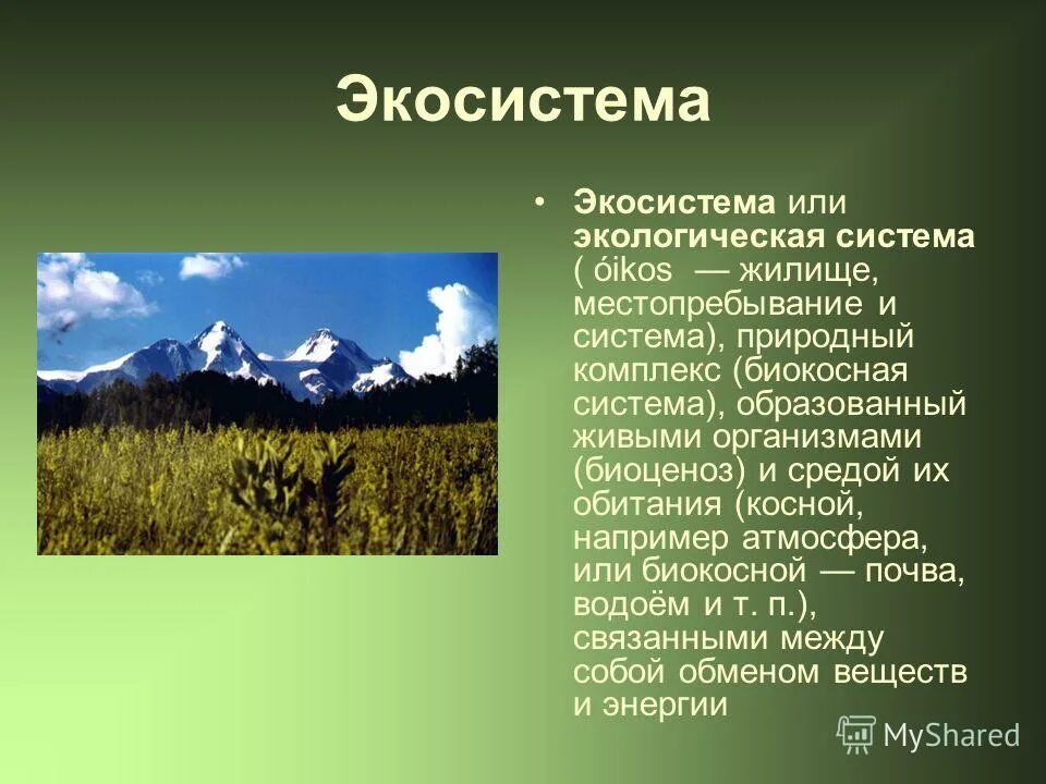 Экологические сообщества тест. Природный комплекс образованный живыми организмами. Экосистема природный комплекс. Биокосная система. Экологические сообщества.