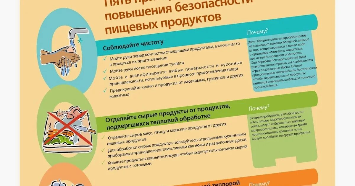 Вопросы пищевой безопасности. Безопасность пищевых продуктов. Пищевая безопасность на предприятии. Политика безопасности пищевой продукции. Политика в области пищевой безопасности.