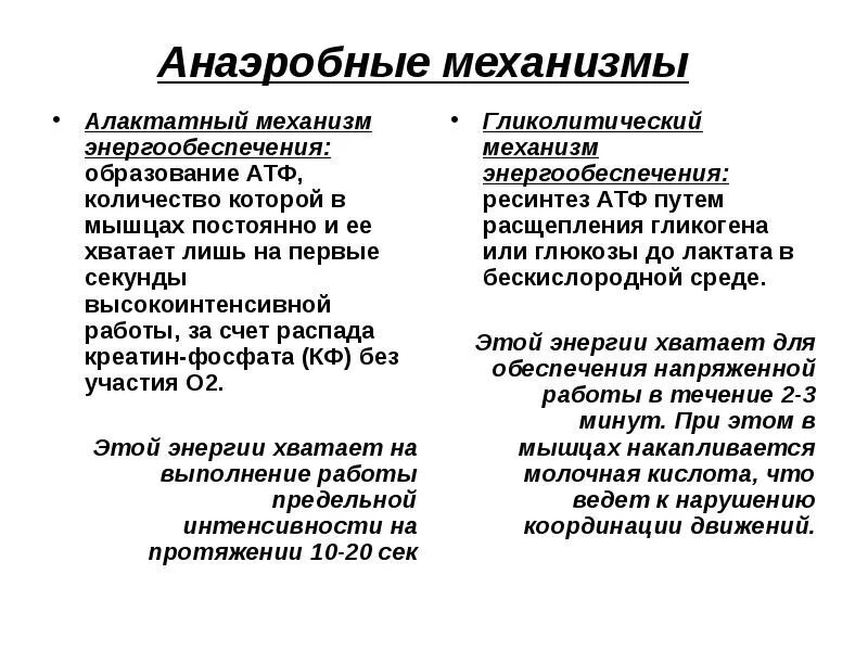 Аэробный механизм энергообеспечения. Основные механизмы энергообеспечения. Основные механизмы энергообеспечения. Энергообеспечение мышечной деятельности. Типы энергообеспечения мышечной деятельности.