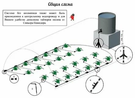 Как работает капельный полив