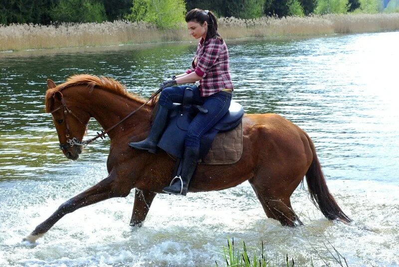 Верховая женщина. Амазонка в дамском седле. Женское седло для лошади. Дамское седло. Женское седло для верховой езды.