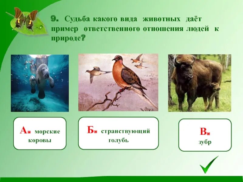 Судьба какого вида животных дает пример
