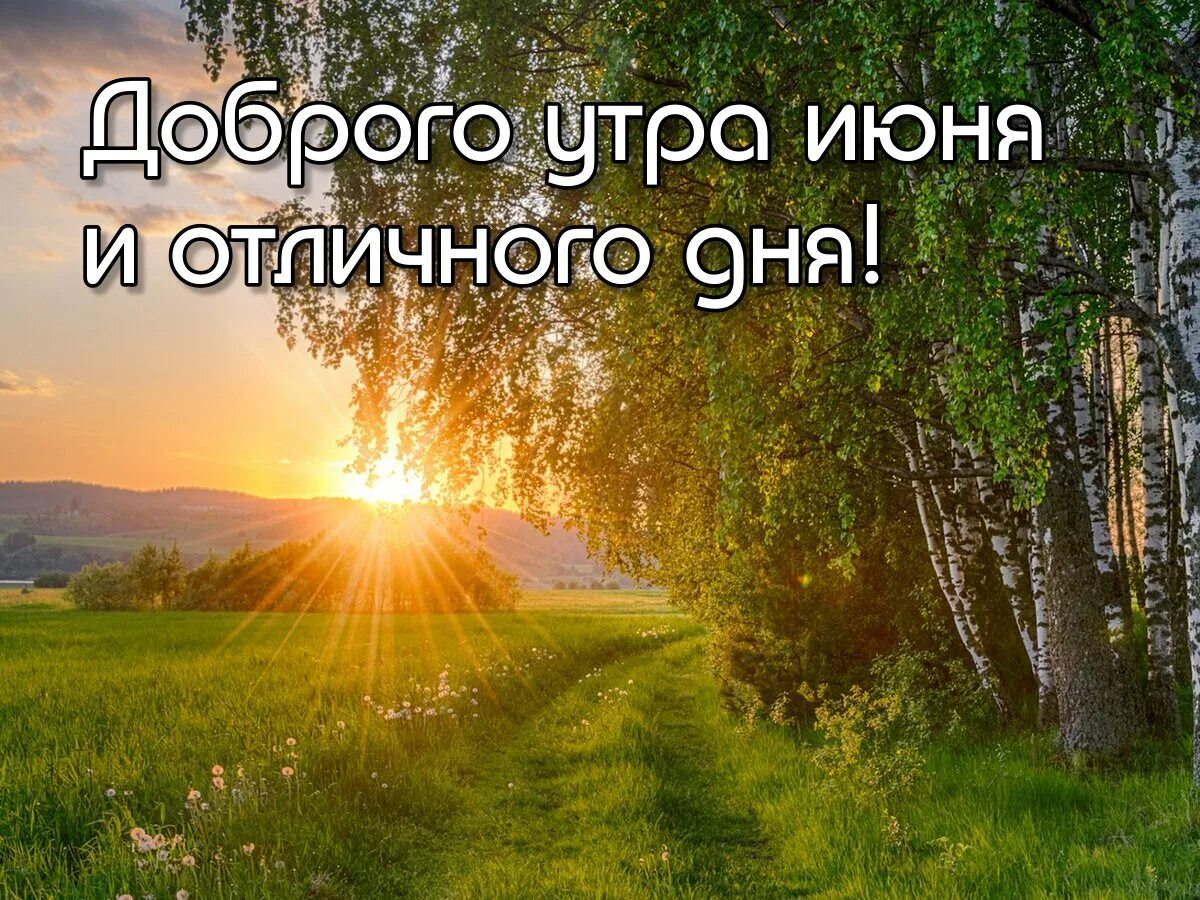 Доброе июньское утро. Доброе летнее утречко. Доброе июньское утро. Доброе утро с богом. С добрым августовским утром.