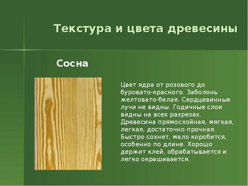 Сообщение на тему обработка древесины. Технология обработки древесины. древесина ядра сосны. обработка древесины сообщение по технологии. технология обработки древесины с элементами машиноведения.