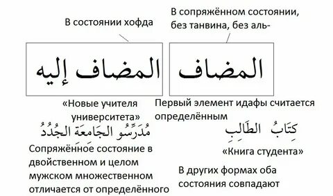 Почему арабский язык называли латынью востока ответ
