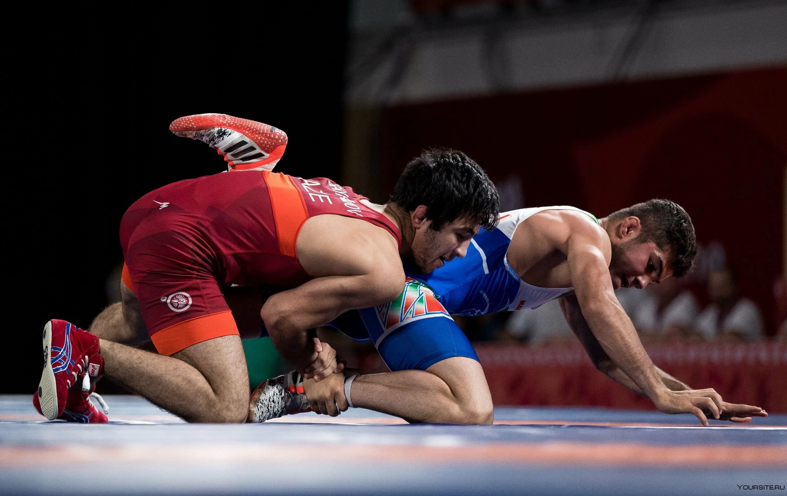 Абдусалам гадисов 2022. Саид алиев борец. Ахмед батаев борец. Арсен фадзаев борьба. Ширвани мурадов олимпийский чемпион.