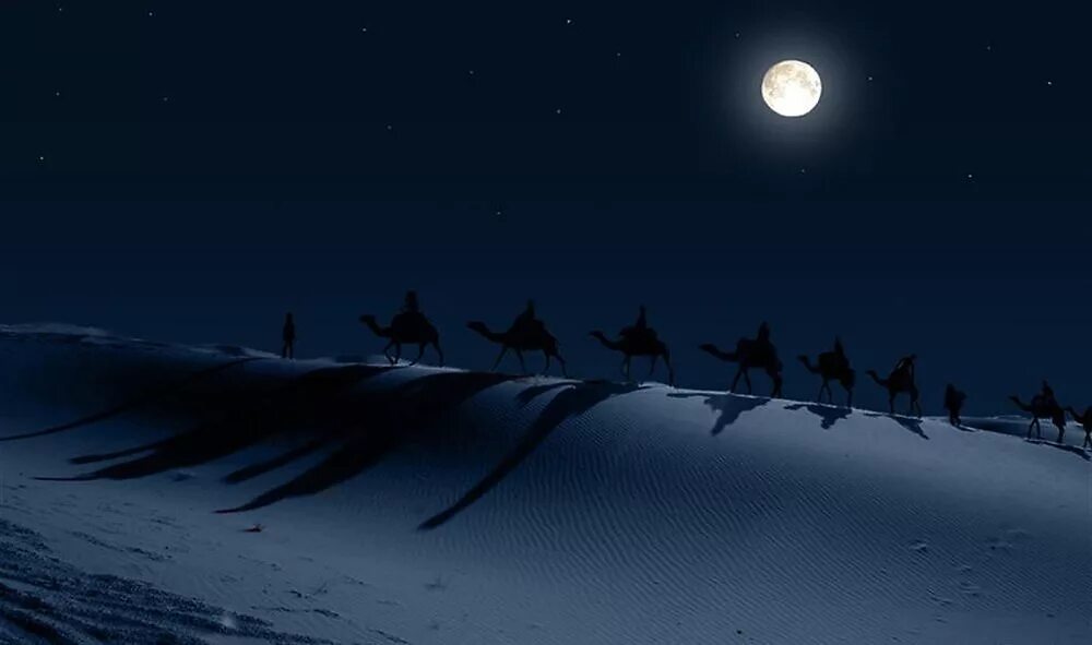 Пустыня ночью. Ночной Караван в пустыне. Пустыня ночь звезды. Ночное небо в пустыне. Караван ночью на глазах