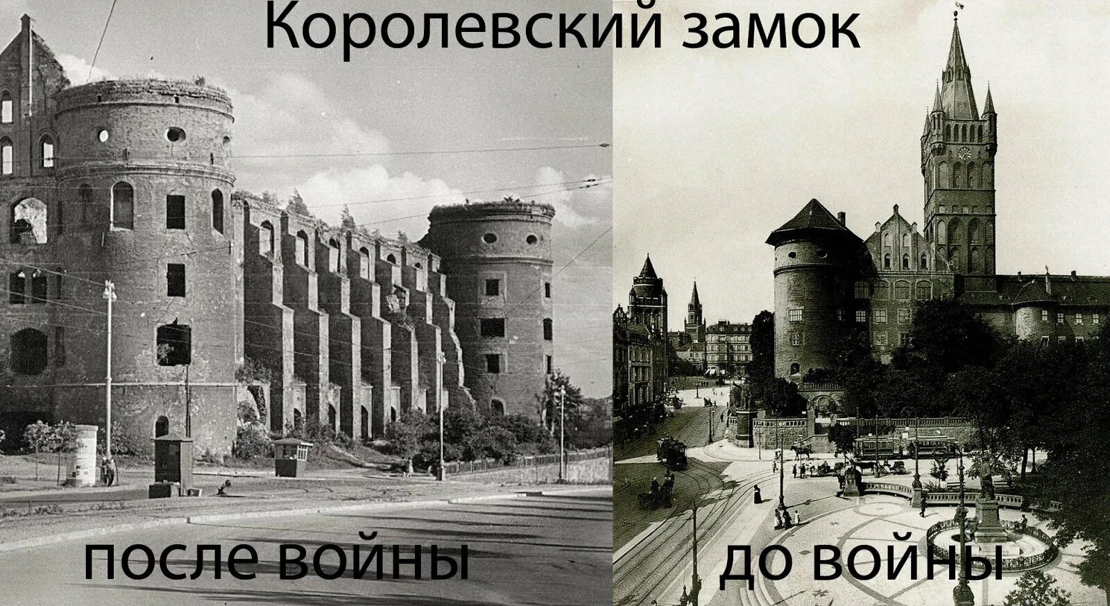Замок Кёнигсберг Ягоды годжи королевский замок в калининграде Худеем вместе! #ya