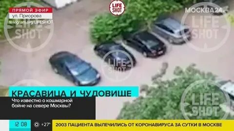 Стрельба в москве сегодня на севере москвы