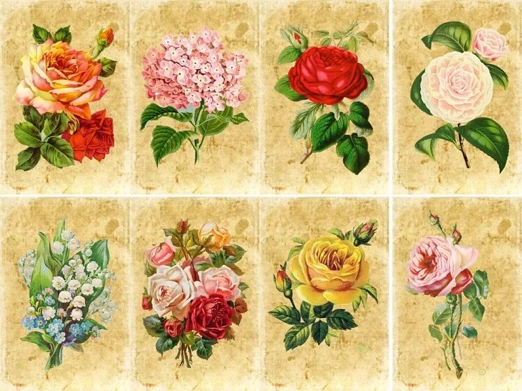 декупажные карты. распечатки для декупажа. распечатки для декупажа. распечатки для декупажа. распечатки для декупажа.