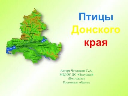 День донского края