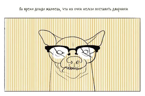 Анекдот очки