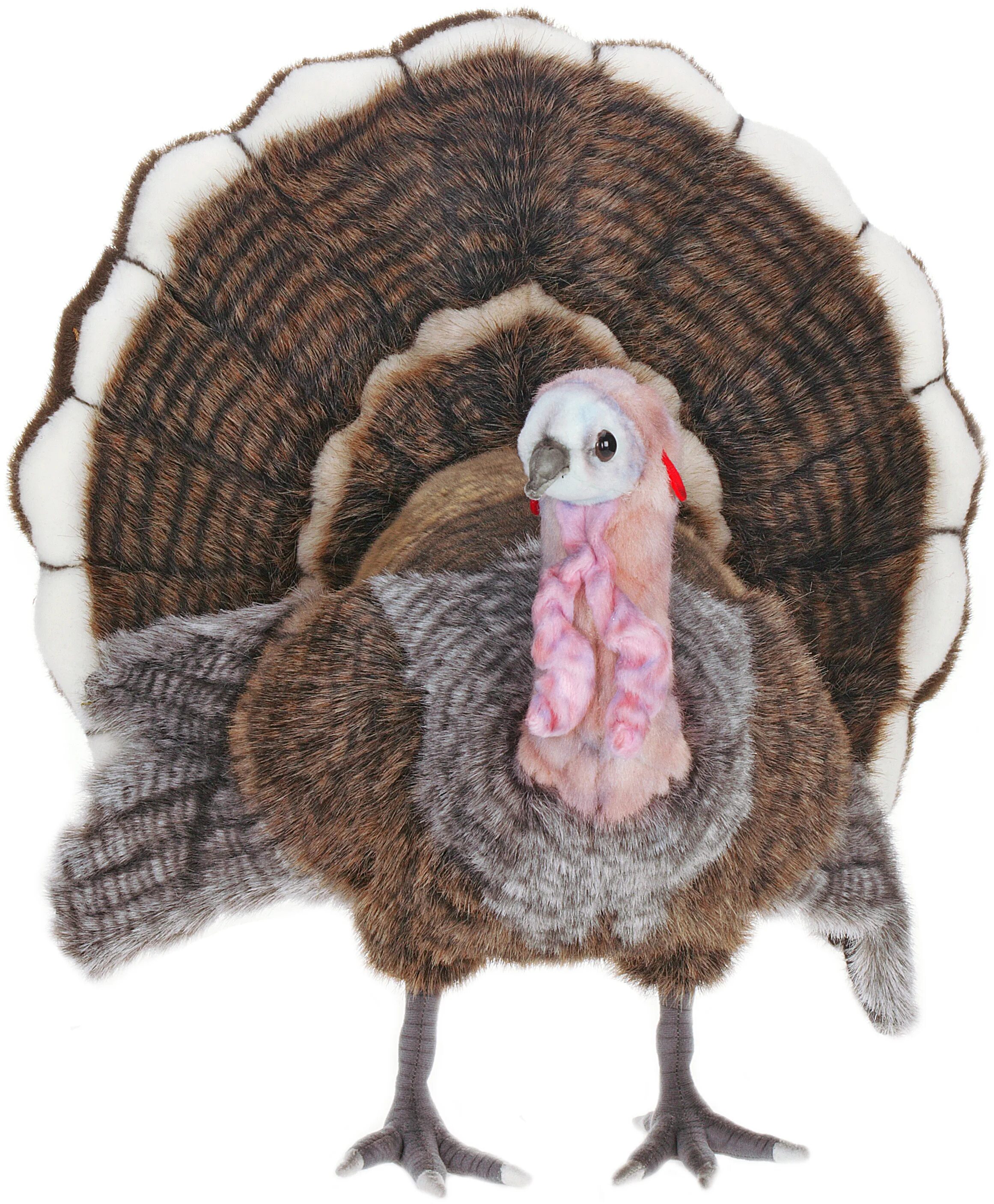 Medium turkey. Индюк игрушка. Мягкая игрушка индюк. Игрушечных индюшек. Игрушка ty индюк.