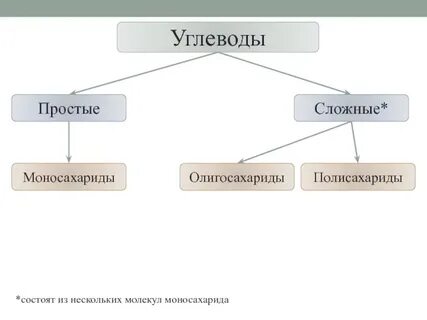 Углеводы состоят из