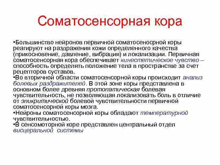 Соматосенсорная зона коры головного мозга. Первичные сенсорные. Первичные и вторичные чувства. Первичные сенсорные. Вторая соматосенсорная зона коры.