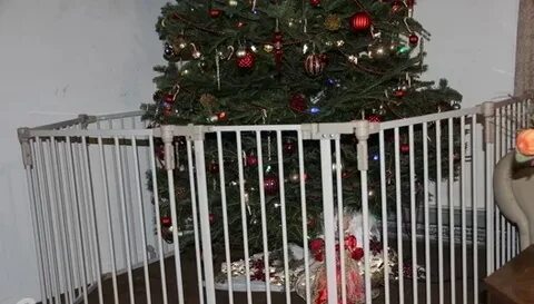 Ограждение для елки