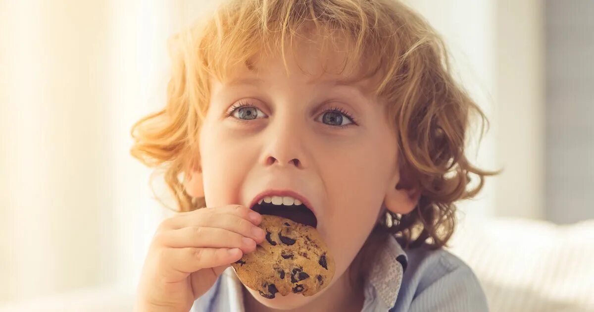 If an American is eating a cookie he s eating a. Eating cookies