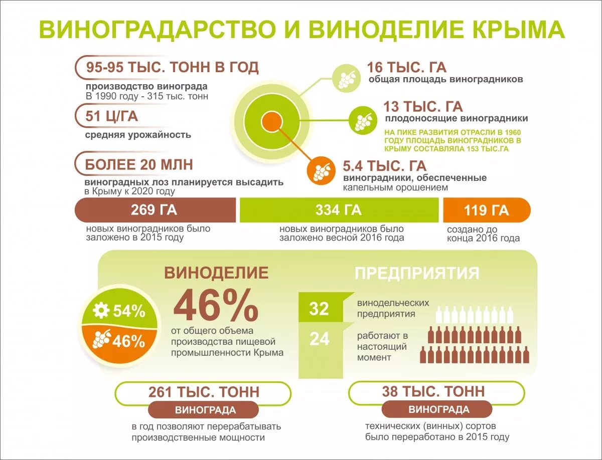 Виноград инфографика. Винодельческий комплекс Крым. Виноделие в Крыму статистика. Виноградарство в Крыму карта. Урожайность крым