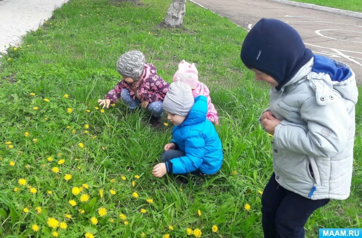 Дети наблюдают за природой. Весенняя прогулка в детском саду. Дети на прогулке весной в саду. Дети наблюдают за природой в детском саду. Наблюдение живая природа младшая