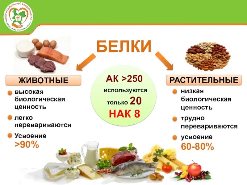 Коэффициент усвояемости белка в продуктах. Важность белка в организме. Таблица коэффициент усвоения белков. Белок в еде и усвояемость. Какие белки лучше усваиваются.