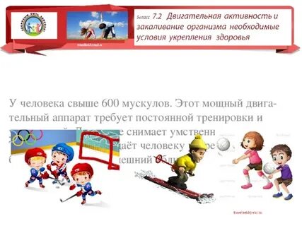 Общая двигательная активность это