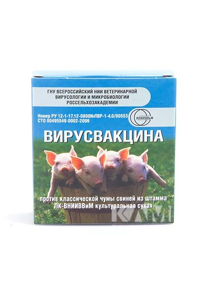 Вакцина внииввим. Вакцина против классической чумы свиней ЛК-ВНИИВВИМ инструкция. Вакцинация свиней против классической чумы. Вакцина против классической чумы свиней инструкция. Вакцина КС против классической чумы свиней.