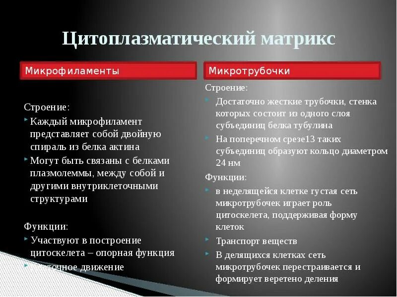 Матрикс строение и функции. Цитоплазматический матрикс строение и функции.