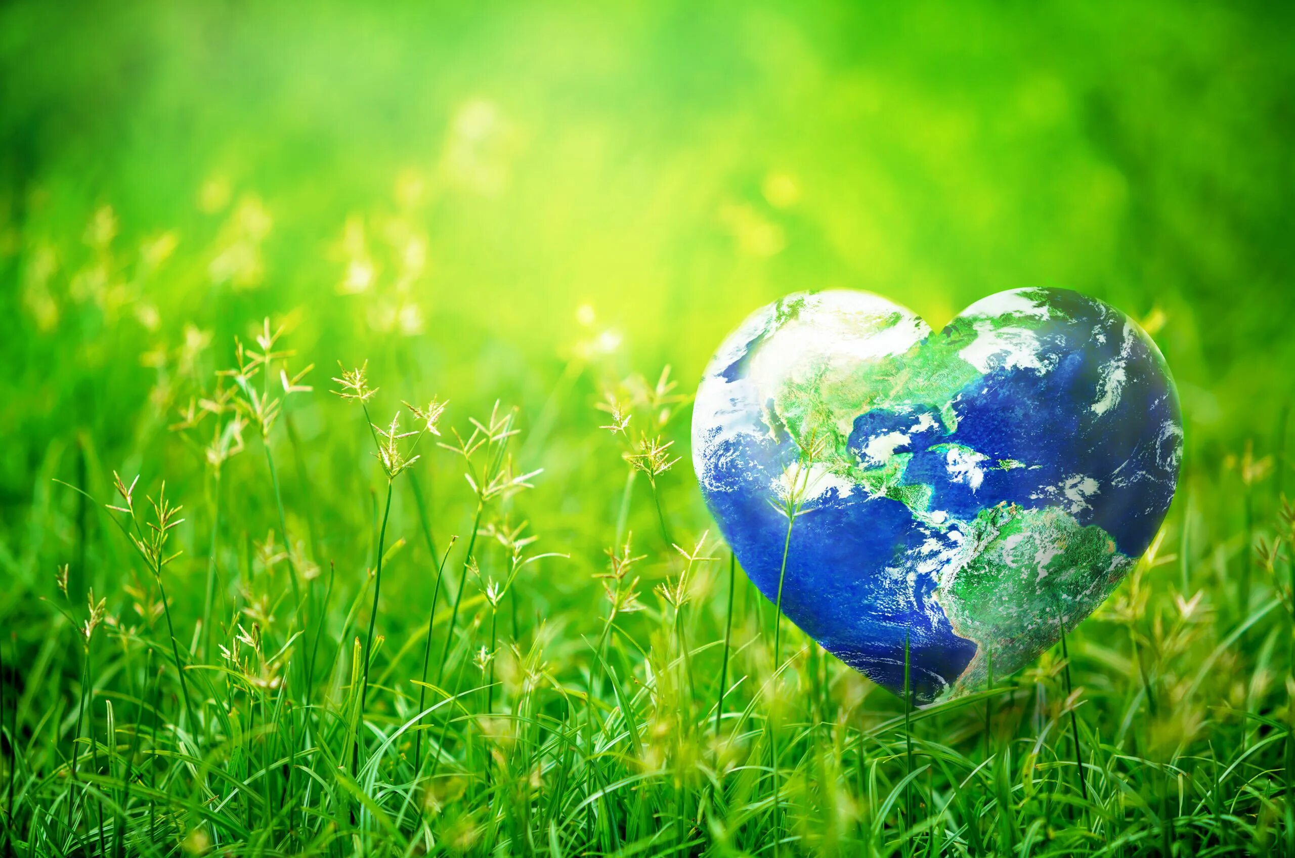 Международный день планеты земля. Международный день земли. Природа экология. Всемирный день окружающей среды. Чистая природа.