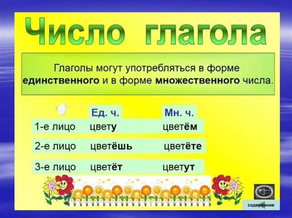 Число глаголов. Числа глаголов в русском языке. Глаголы в единственномчимле. Глагол множественного числа и единственного числа. Цвести формы глагола