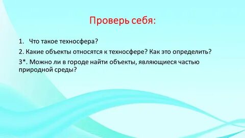 Техносферой является