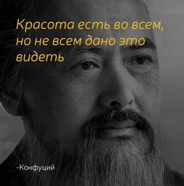 Цитаты Конфуция. Конфуций цитаты. Мудрые мысли Конфуция. Мудрые фразы Конфуция.