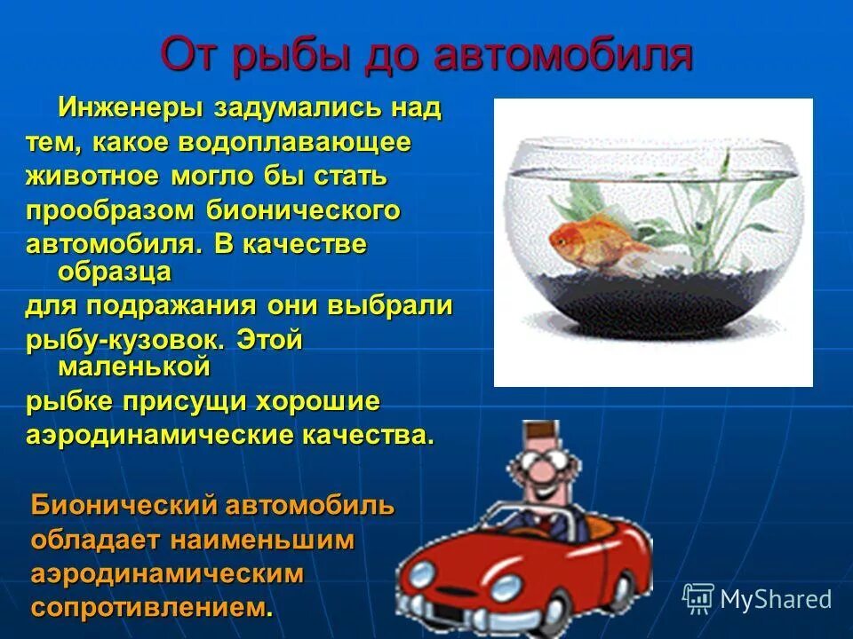 Знаки зодиака профессии. Характер по знаку зодиака рыбы. Рыбы гороскоп характеристика. Подходящие профессии по знаку зодиака. Какая профессия подходит по знаку зодиака.