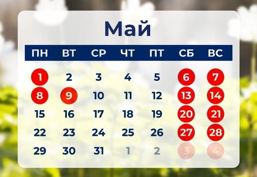 Когда отдыхаем в декабре 2025. Когда отдыхаем в декабре 2025