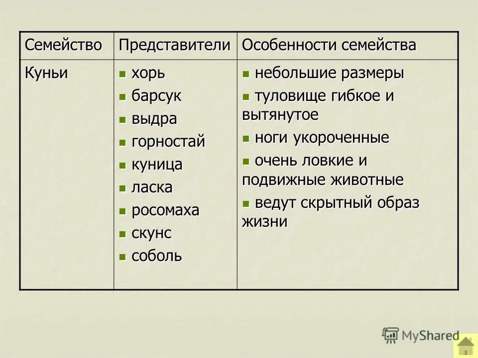 семейства отряда хищные таблица. классификация отряда хищные млекопитающие. отряд семейство представители таблица. особенности представителей семейств отряда хищные. отряд хищные общая характеристика.