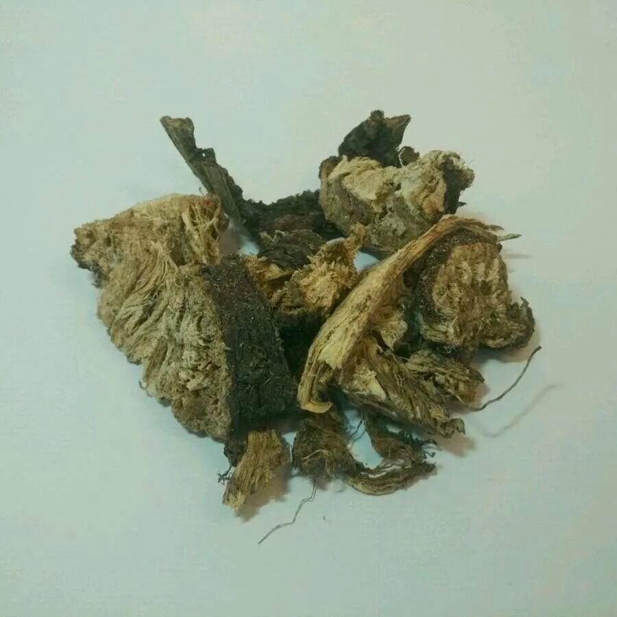 Корень 500. Омик корень ферула джунгарская. Пятьсот корень. Корневища левзеи сафлоровидной. Сабельник корень алтай.