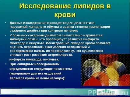 Липиды повышены что это значит
