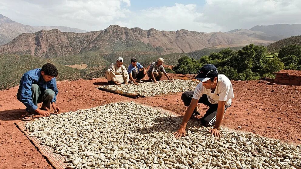 пимоненко сенокос и жатва. экология чистые берега. этапы сбора меда. лесничество. экологический патруль дети.