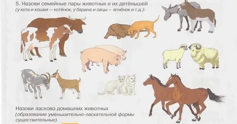 Признаки взрослых животных