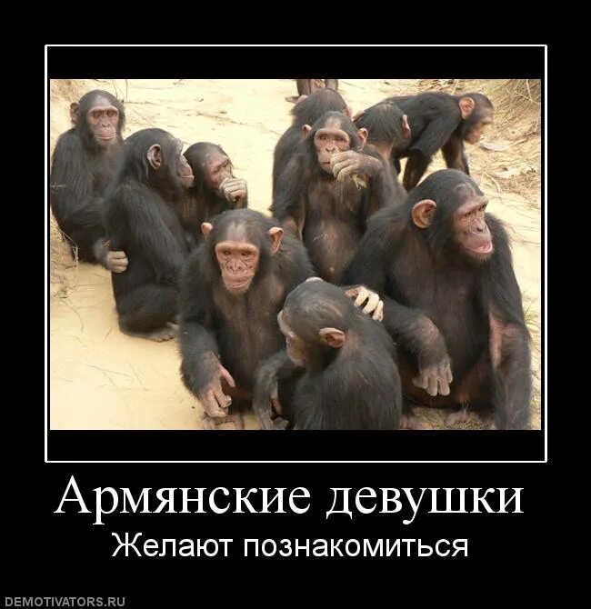 Почему армяне хитрые