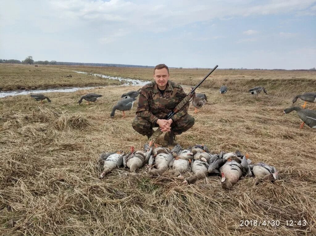 территория охота. "клуб охотников и рыболовов "любытинское". лесоохотничьи хозяйства россии. охотничье хозяйство «южная долина. охотничьи угодья ивановской области.