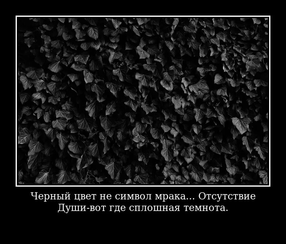 Черно белое статусы. Фразы про черный цвет. Высказывания про черный цвет. Чёрно белые фразы. Цитаты черно белые.