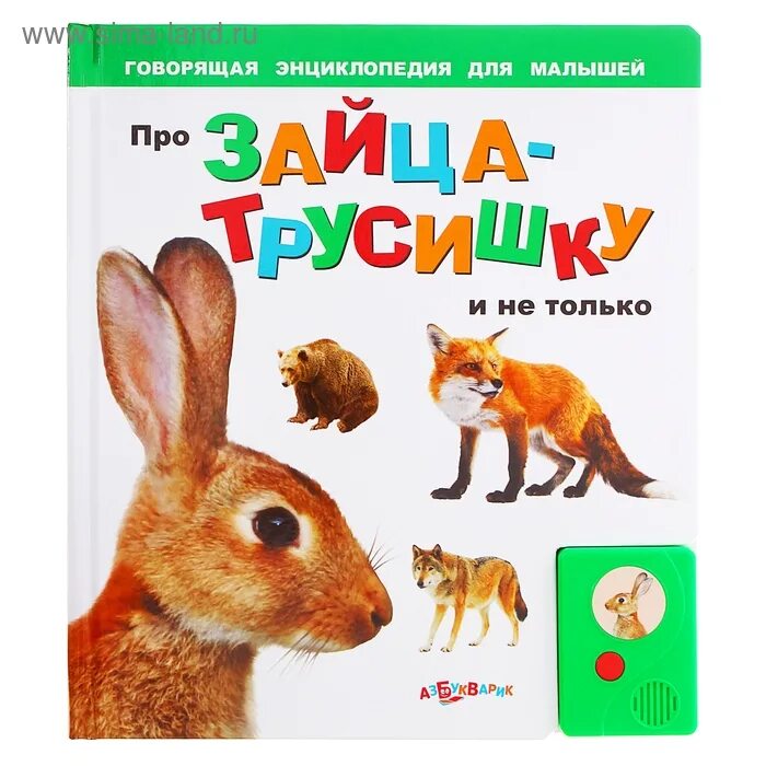 Книга про зайца. Заяц с книгой. Книги для детей. Книги о зайцах для детей. Книги про Зайцев для детей.