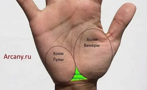 Холм венеры
